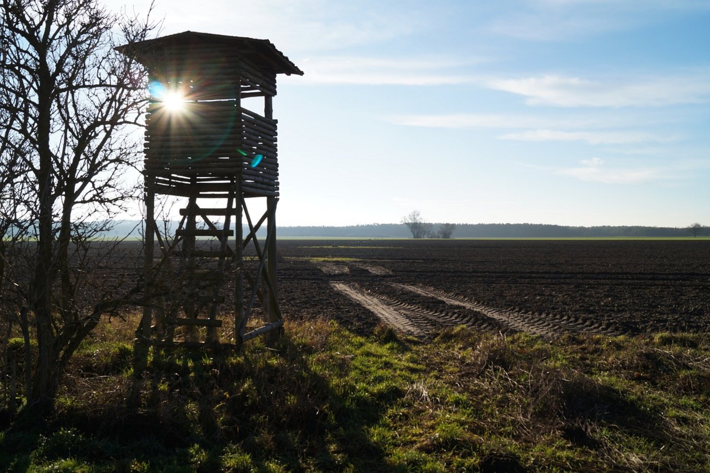 Um die noch unentschlossenen 6 Prozent für oder gegen das revidierte Jagdgesetz zu gewinnen, geben beide Seiten im Schlussspurt nochmal alles. (Bild Pixabay) 