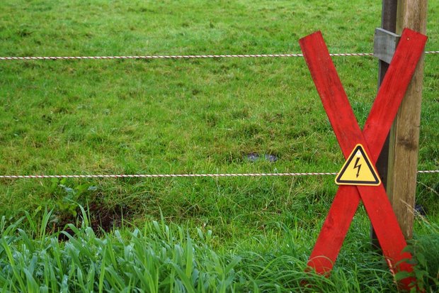 Die genauen Umstände des Unfalles in Neuenburg werden von der Staatsanwaltschaft untersucht. (Symbolbild Pixabay)