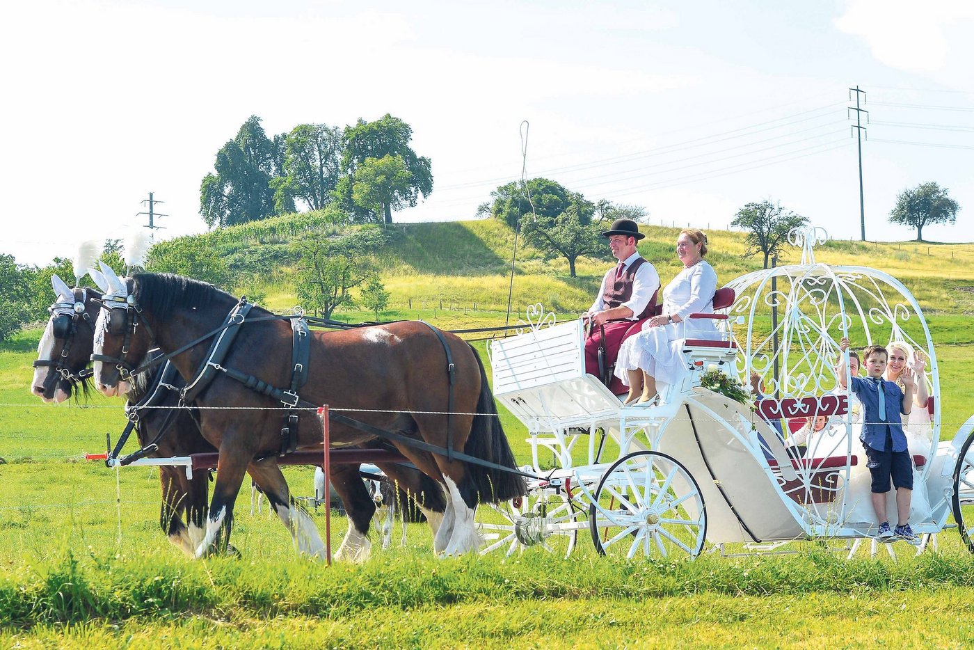 rDie grossen Shire-Horses sehen vor der edlen, schneeweissen Cinderella-Kutsche elegant aus. (Bild Daniela Ebinger)