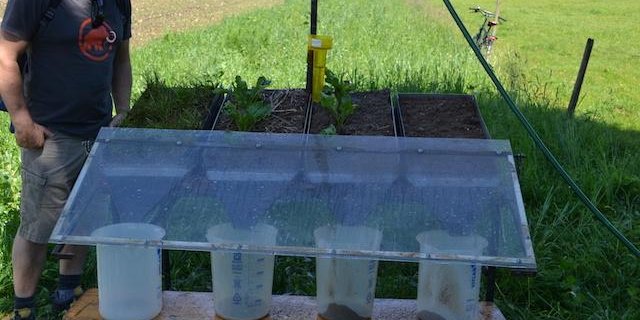 Ein kleines Experiment zeigte, dass unbedeckter Boden im Vergleich zu bedecktem Boden viel anfälliger auf Erosion ist.(Bild jsc)