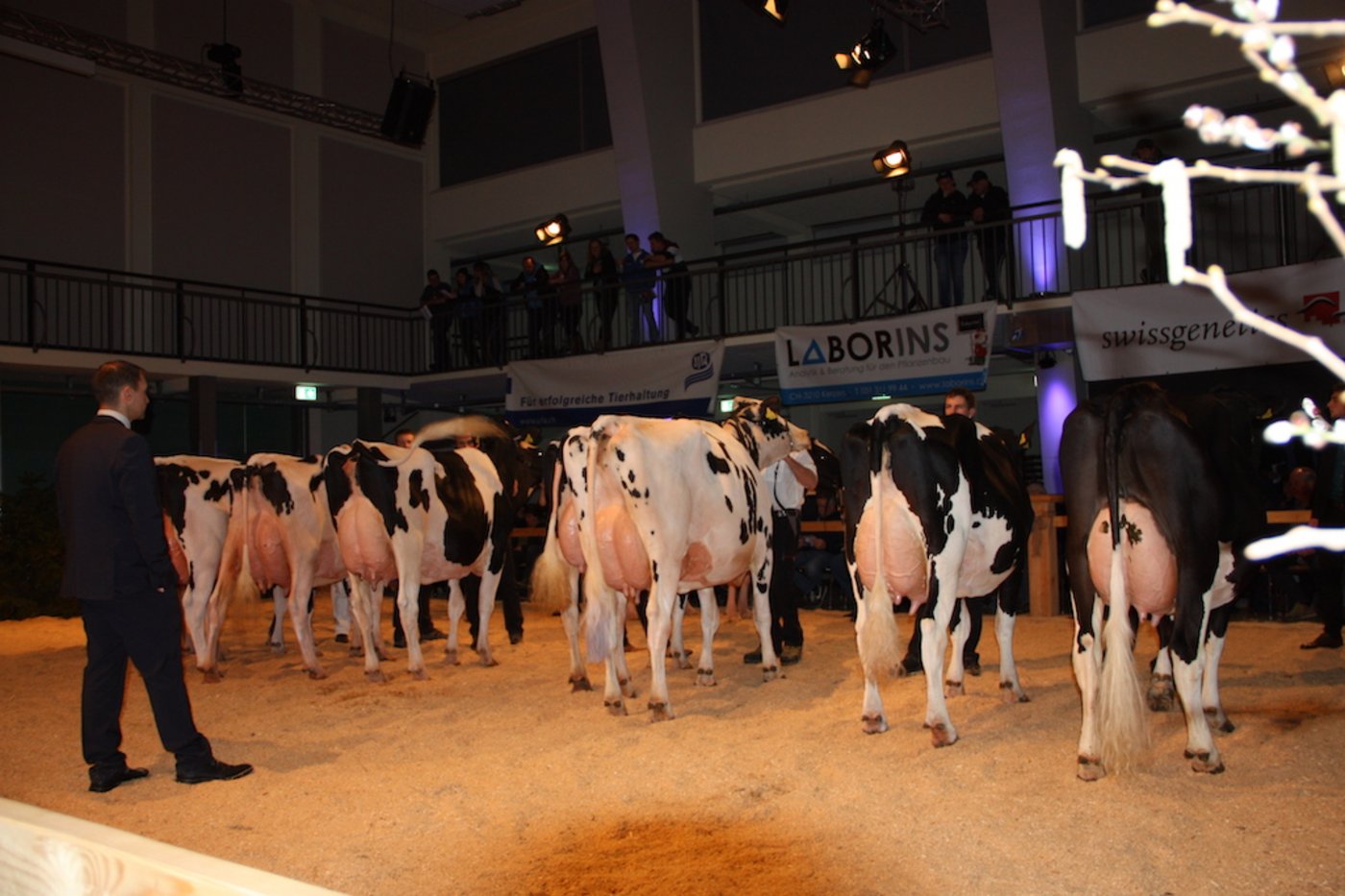 Der Richter prüft in der Kategorie vier nochmals, ob er die richtige Entscheidung getroffen hat. 