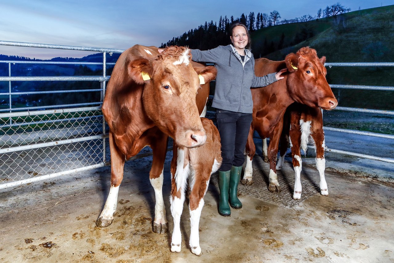 Evelyn Scheidegger gründete den Verein Cowpassion. Zusammen mit ihrem Mann hält sie auf ihrem Betrieb in Signau BE Swiss-Fleckvieh-Kühe und betreibt muttergebundene Kälberaufzucht. (Bild Blick/Siggi Bucher)