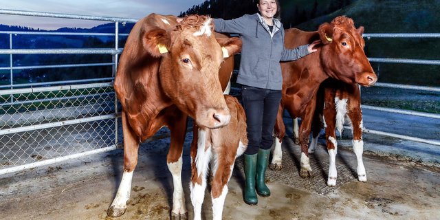 Evelyn Scheidegger gründete den Verein Cowpassion. Zusammen mit ihrem Mann hält sie auf ihrem Betrieb in Signau BE Swiss-Fleckvieh-Kühe und betreibt muttergebundene Kälberaufzucht. (Bild Blick/Siggi Bucher)