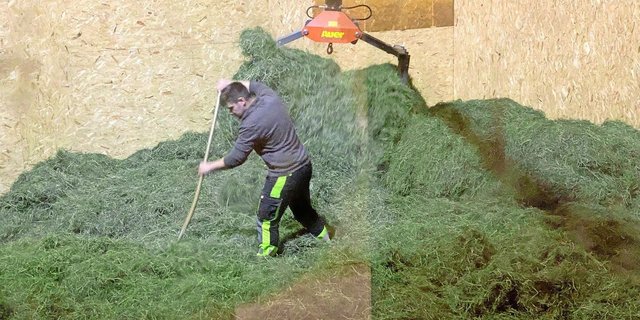 Meistens ist das Heu auf dem Heustock nicht gleichmässig verteilt. Feuchtes liegt neben oder auf schon getrocknetem Dürrfutter. Umschichten –  sei es mit dem Greifer oder der Heugabel – beschleunigt die Heutrocknung. 