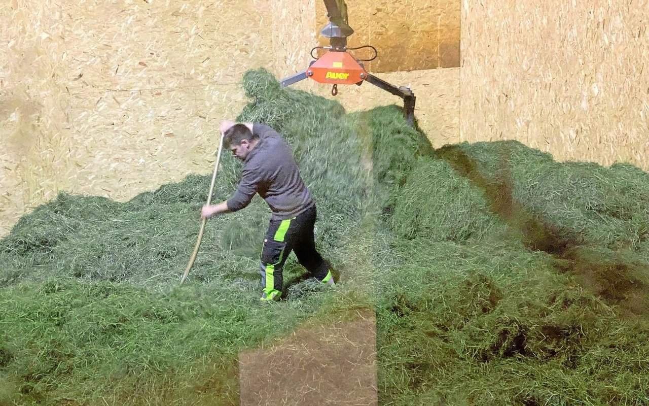 Meistens ist das Heu auf dem Heustock nicht gleichmässig verteilt. Feuchtes liegt neben oder auf schon getrocknetem Dürrfutter. Umschichten – sei es mit dem Greifer oder der Heugabel – beschleunigt die Heutrocknung. 