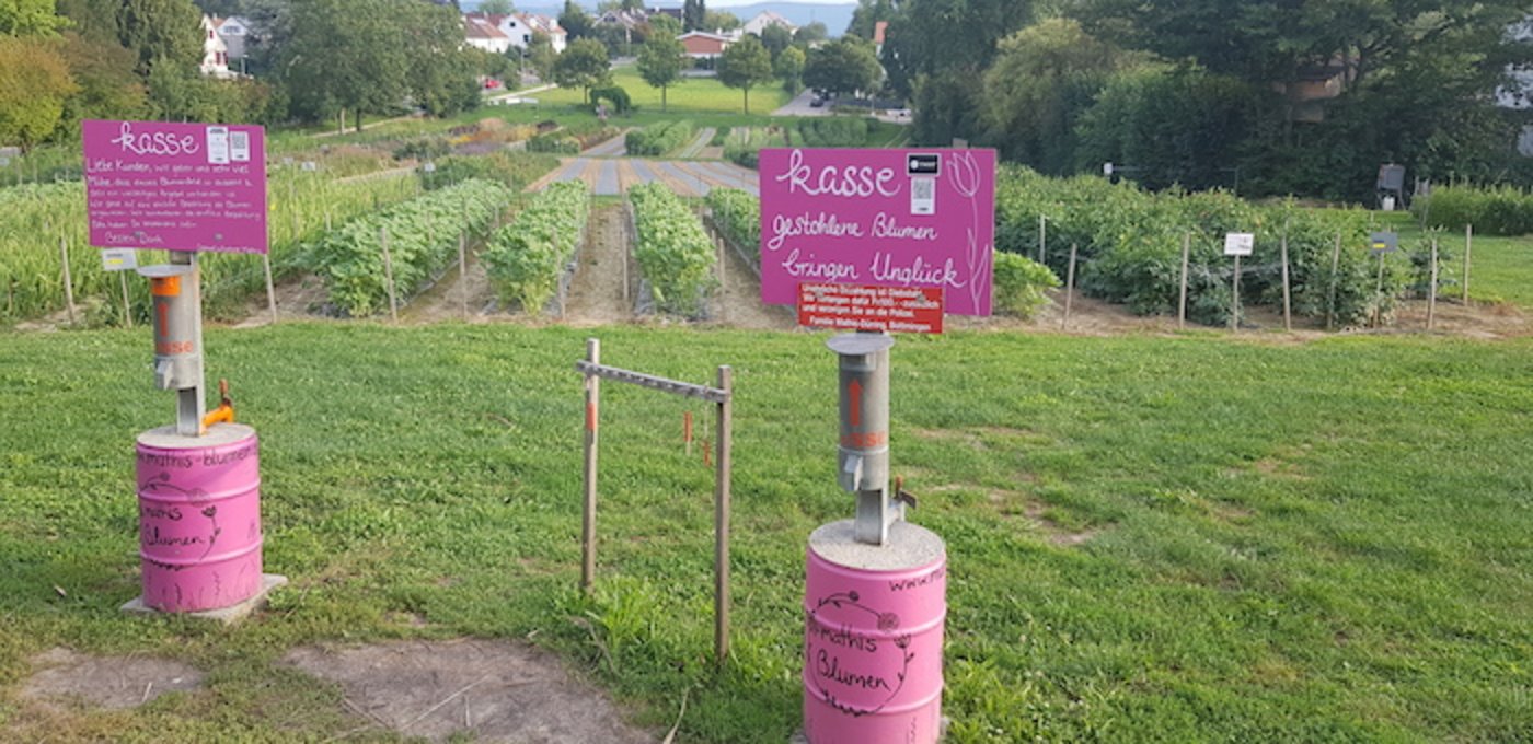 Seit Kurzem kämpfen sie mit Diebstahl: Es wurden Geldnoten aus dem Schlitz der Kasse gefischt.