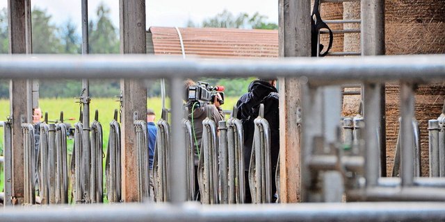 Selbst bewirtschaftende Grundeigentümer dürfen ihre Nutzfläche als temporäres Festgelände anbieten, aber nur, wenn das öffentliche Recht nicht verletzt wird.
