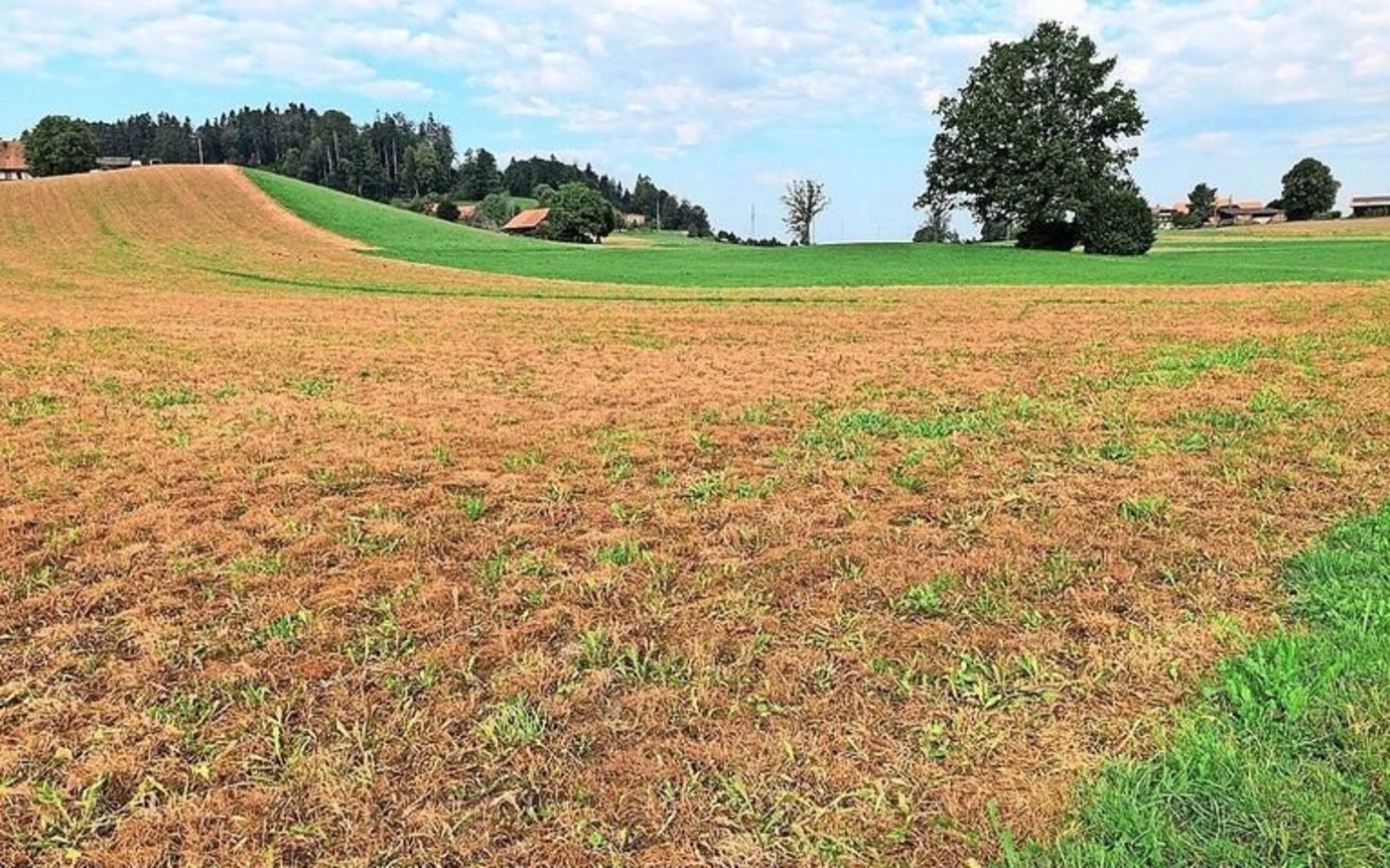 Glyphosat wird in der Schweiz z. B. vor der Saat eingesetzt bzw. als wichtiger Baustein von Anbausystemen mit reduzierter Bodenbearbeitung.