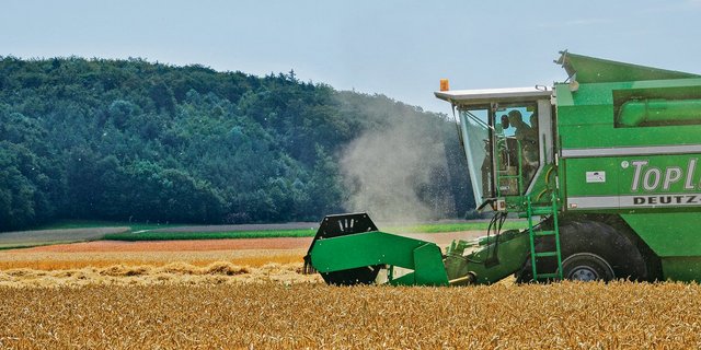 Die Getreideernte ist vorbei und schon bald muss über die neue Saat nachgedacht werden. Welche Sorte darf es sein?(Bild BauZ) 