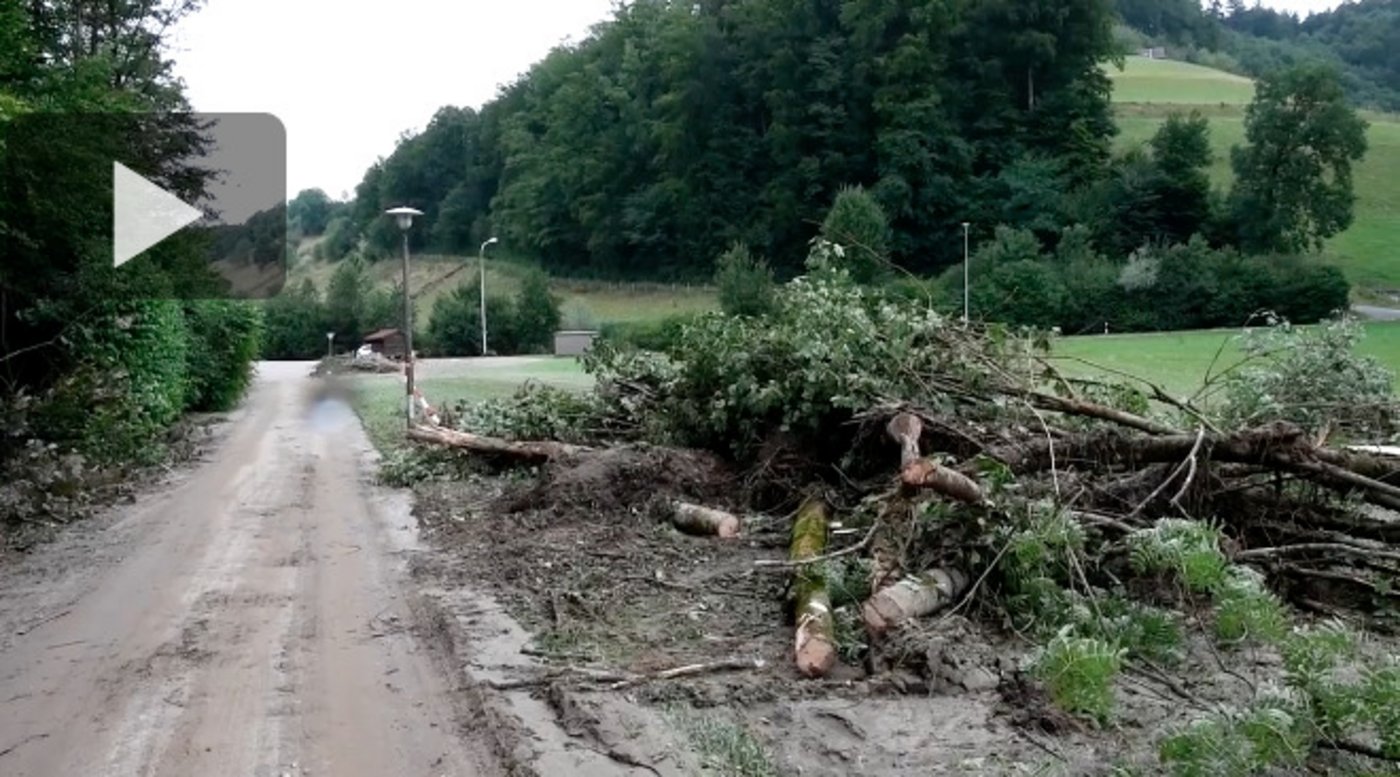 Auch Wald und Wiese wurden verwüstet. (Screenshot sda)