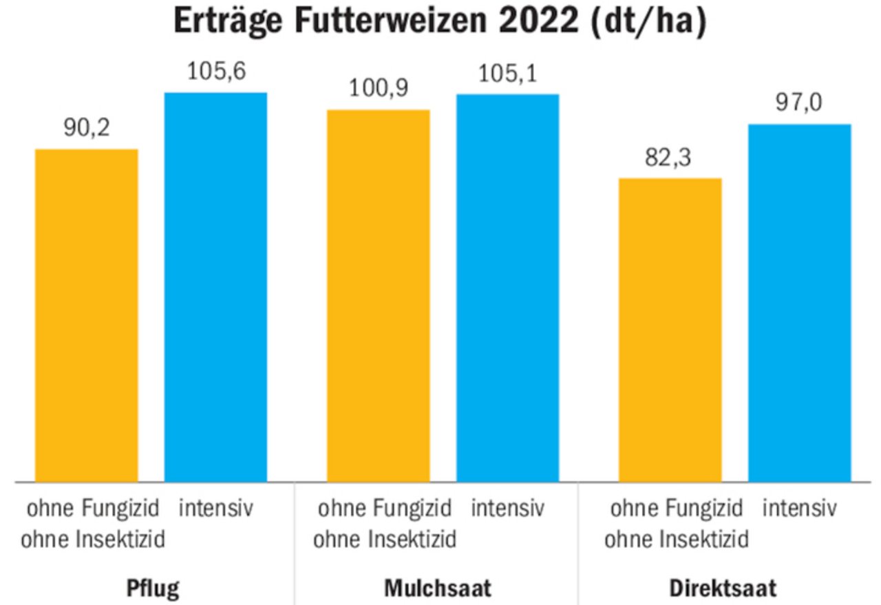 Den höchsten Ertrag erreichte das intensive Pflugverfahren. Direktsaat, extensiv, war deutlich niedriger.