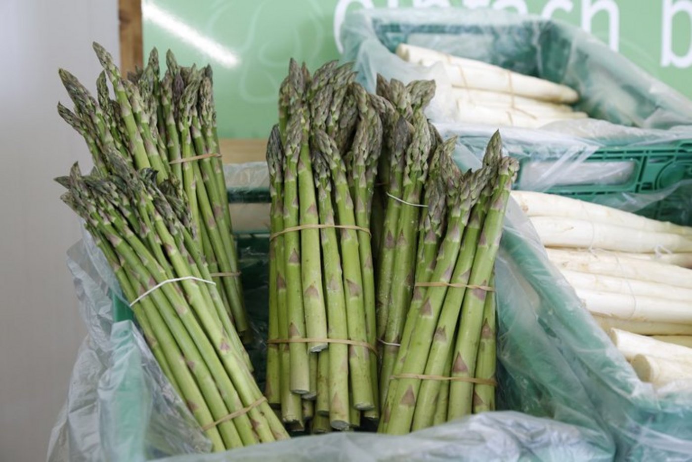 Grüner Spargel wird in der Schweiz mehr konsumiert als weisser Spargel. (Bild ji)