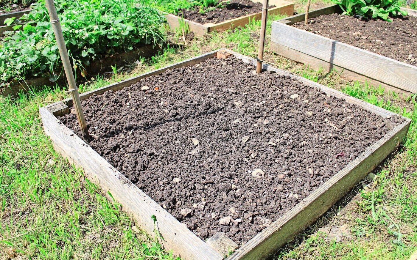 Unkrautfrei: Ein falsches Saatbeet bietet Salaten, Kräutern und Gemüse ideale Wachstumsbedingungen, ohne Konkurrenz durch Beikräuter. 