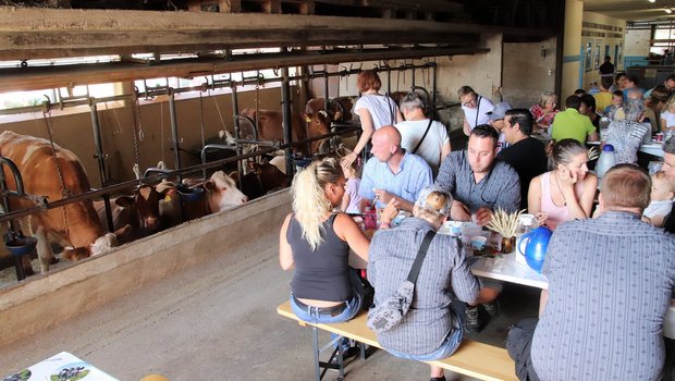 Beim Brunch bei Familie Zuber in Ossingen ZH sind ein Teil der Gäste in direkter Tuchfühlung mit dem lieben Vieh. (Bilder Roland Müller).