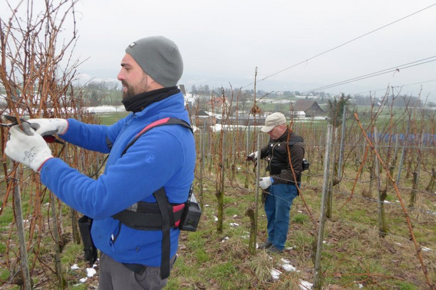 "Das Geschmacksbild ist ganz anders": Mitarbeiter Luca Passante (links) und Betriebsleiter Jonas Ettlin. (Bild lid/Regine Imholz) 