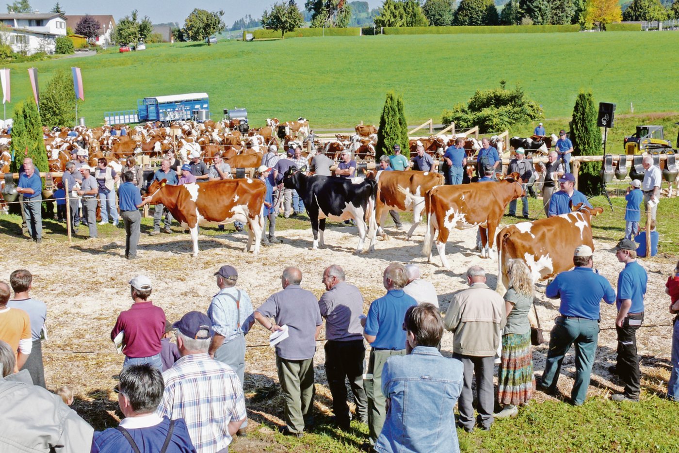 Die Beständeschauen sollen diesen Frühling stattfinden. Es ist noch nicht ganz klar, wie.(Bild pf)