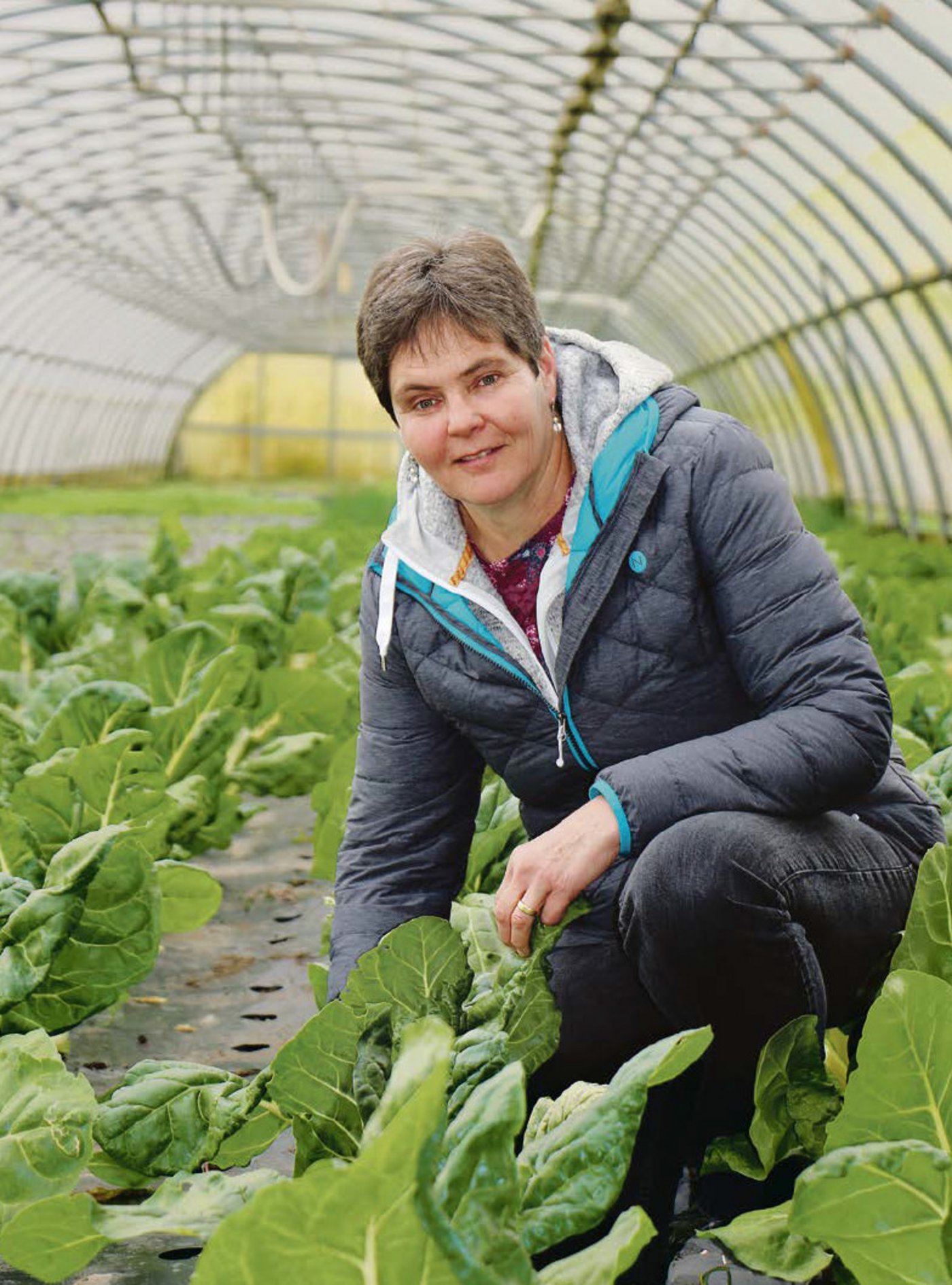 Dank des Tunnels kann Isabel Otti früh im Frühling bereits Krautstiele auf dem Markt anbieten. 