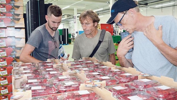Am Erfahrungsaustaus Am Erfahrungsaustausch nutzten Obstbau-Berater und Produzenten die Gelegenheit für eine Besichtigung des neuen Beerenzentrums der Tobi Seeobst AG in Egnach.