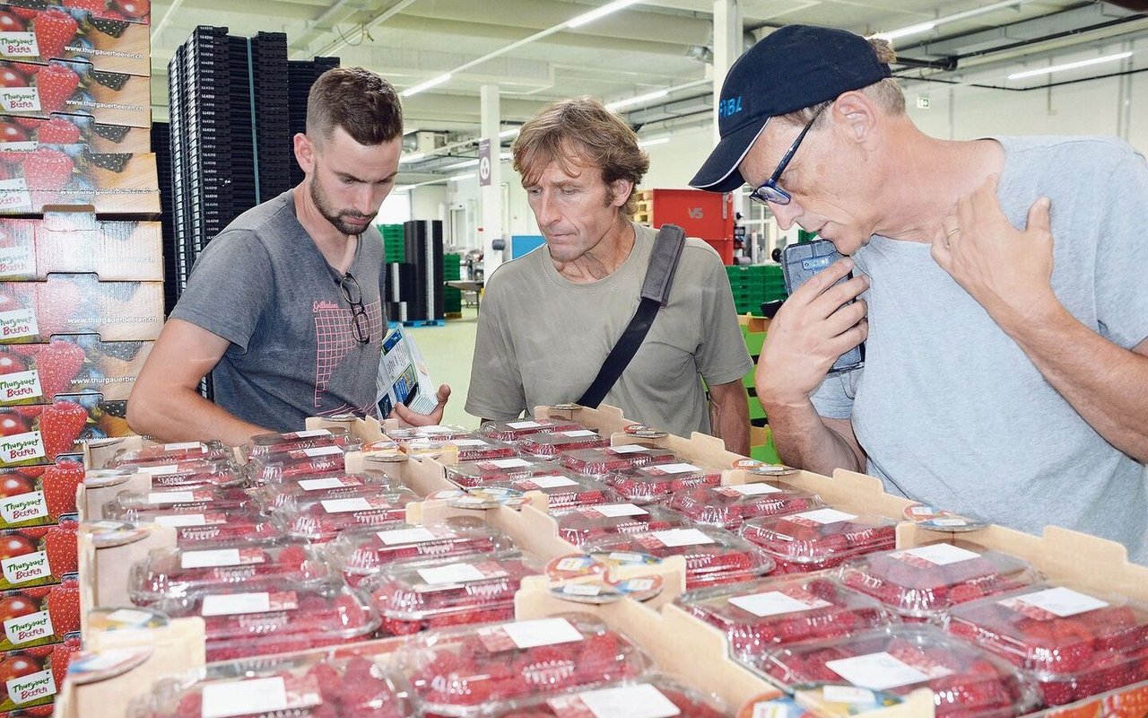 Am Erfahrungsaustausch nutzten Obstbau-Berater und Produzenten die Gelegenheit für eine Besichtigung des neuen Beerenzentrums der Tobi Seeobst AG in Egnach.