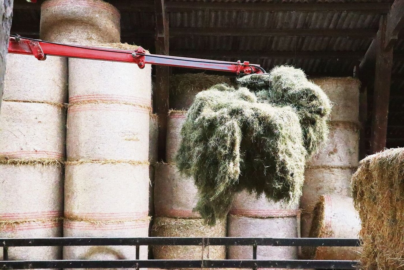 Die Heustöcke sind zwar mittlerweile gefüllt. Dennoch kann sich die Futterqualität im Lager verändern – und schnell verschlechtern. Gewisse einfache Methoden unterstützen die Kontrolle.