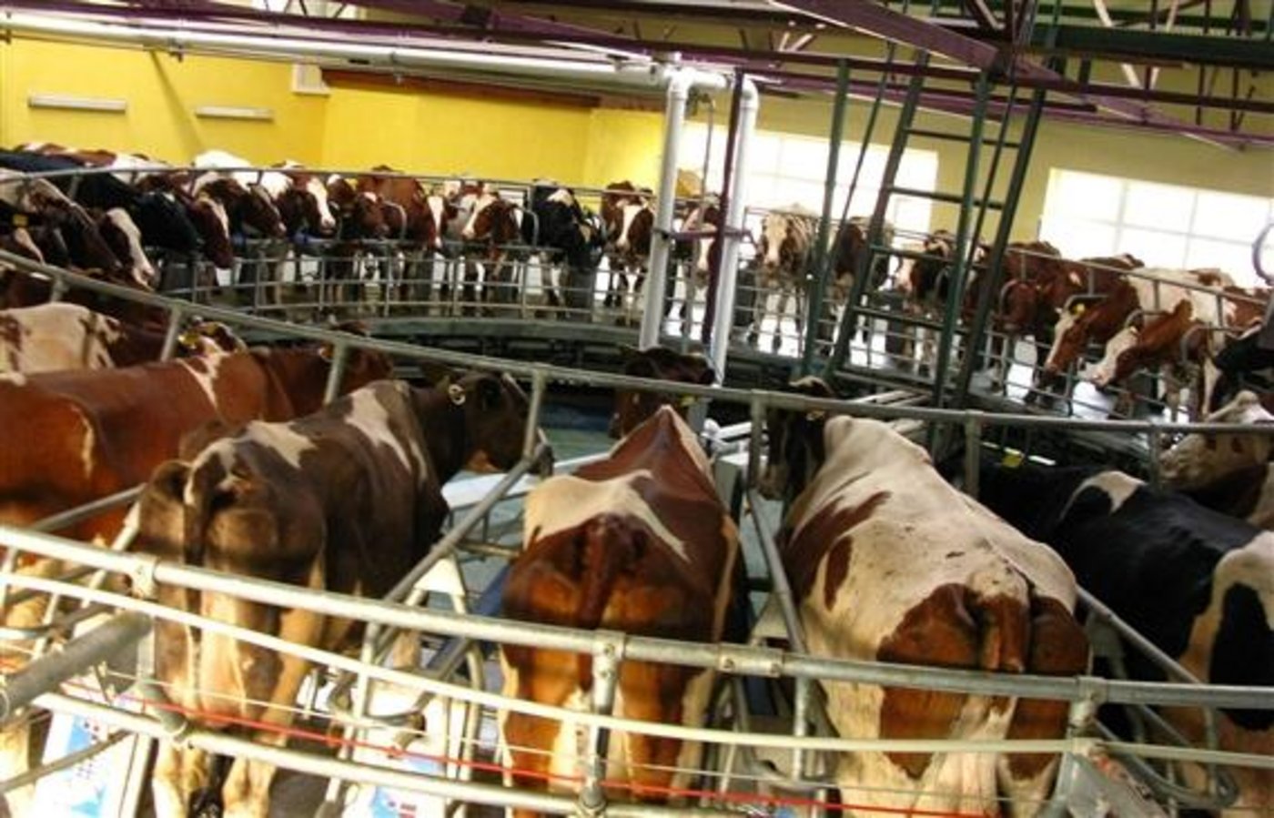 Politische und wirtschaftliche Instabilität führt eher zur Bildung von Megafarmen. (Bild: Шатилло Г.В)