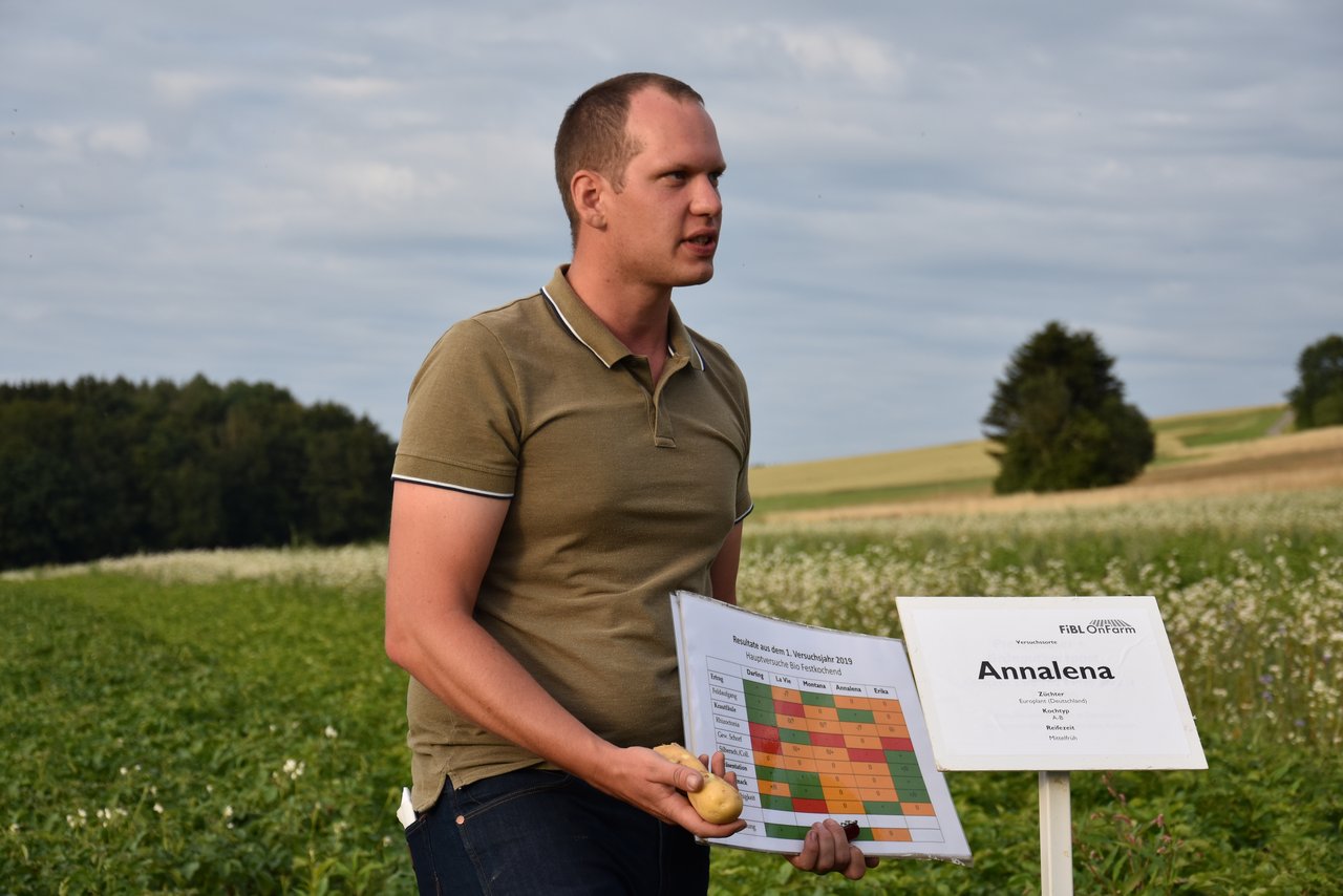 Tobias Gelencsér vom FiBL vergleicht im Feld die Sorten Annalena, Darling, Montana und La Vie mit der Sorte Erika. (Bild Bauernzeitung/Sera Jane Hostettler)