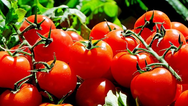 Beim Gemüse erzielten etwa Tomaten einen höheren Preis. (Bild Pixabay)