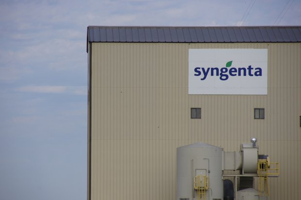 Syngenta: weniger PSM in Europa verkauft Der Agrarkonzern blickt positiv auf das Jahr 2019 zurück. Das aufgrund des Wetters schwierige erste Halbjahr 2019 habe die Firma mit einem soliden Wachstum in der zweiten Jahreshälfte beglichen. (Bild mr)