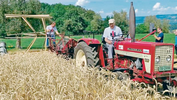 Gemeinsam mit Sohn Heinz zeigt Heiri Spiri seinen McCormick 423 an einem Treffen der Freunde alter Landmaschinen Sektion Ostschweiz (Falso). (Bild Falso)