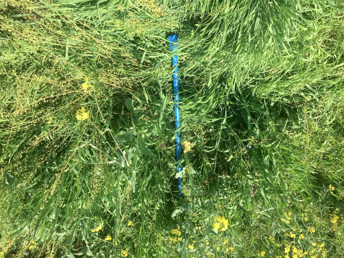 Ein Bauer in Besenbüren fotografierte Abfall in seinem angrenzenden Rapsfeld, darunter einen Sonnenschirmständer. 