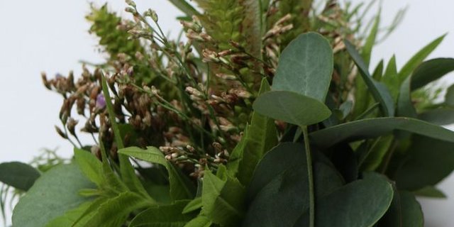 Kräutersträusse sind eine dufte Idee. (Bild: ED)