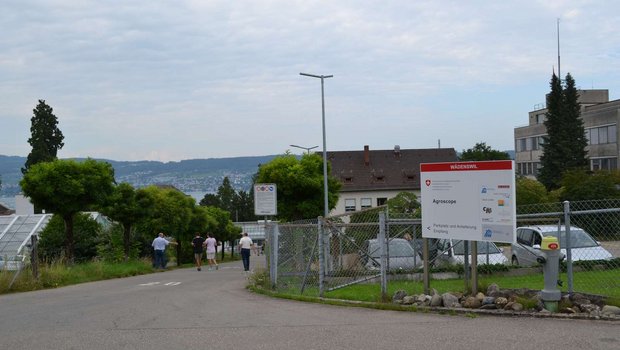Ein regionales Forschungszentrum in Wädenswil ZH ist in der neuen Standortstrategie des Bundesrates nicht vorgesehen. (Bild jsc)