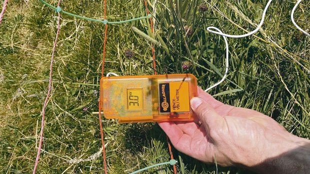 Beim Zaun gelten für Beim Zaun gelten für den Grundschutz die Grundsätze: 3000 Volt Spannung, gut gespannt, höchstens 20 cm Abstand zum Boden.