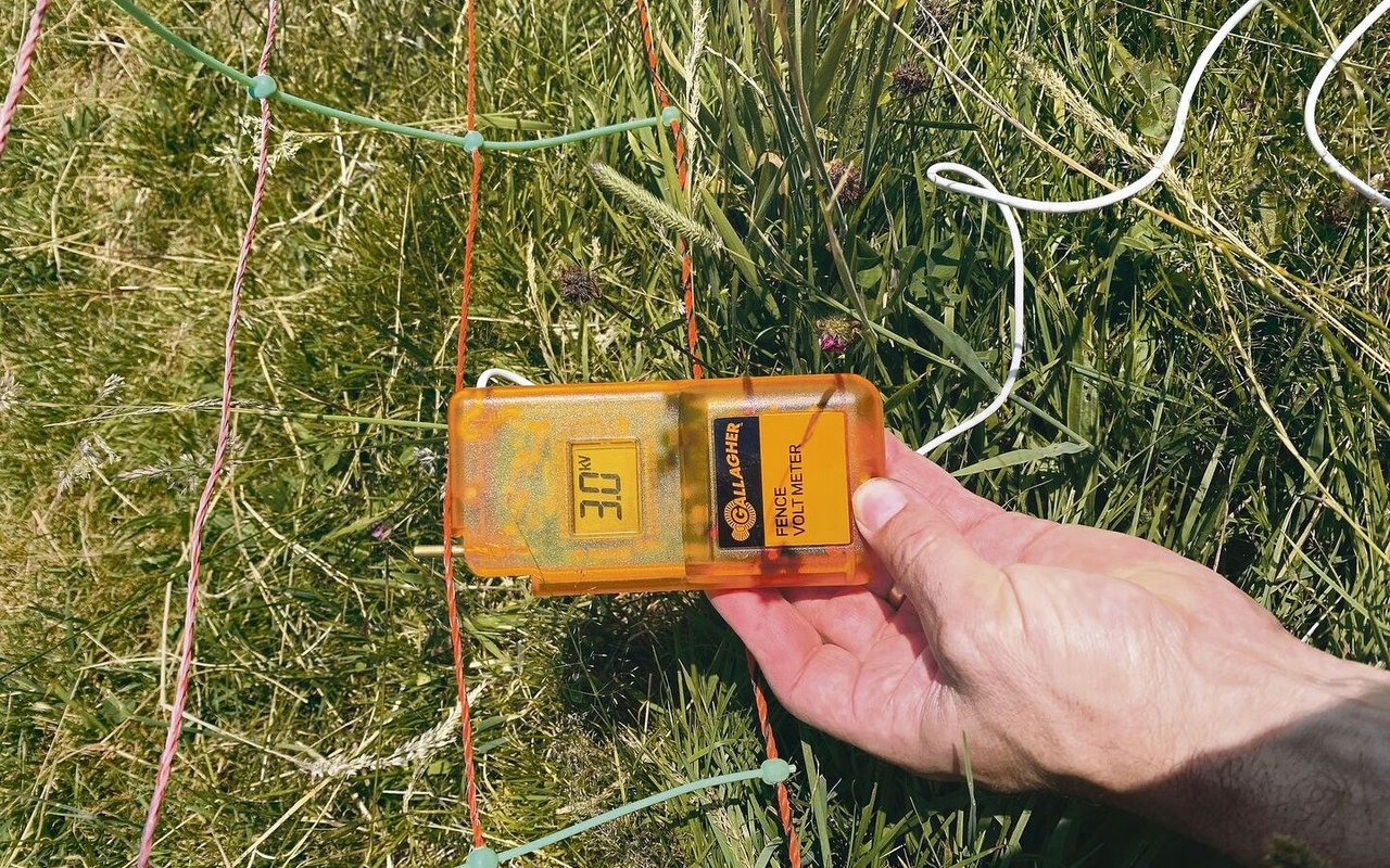 Beim Zaun gelten für den Grundschutz die Grundsätze: 3000 Volt Spannung, gut gespannt, höchstens 20 cm Abstand zum Boden.