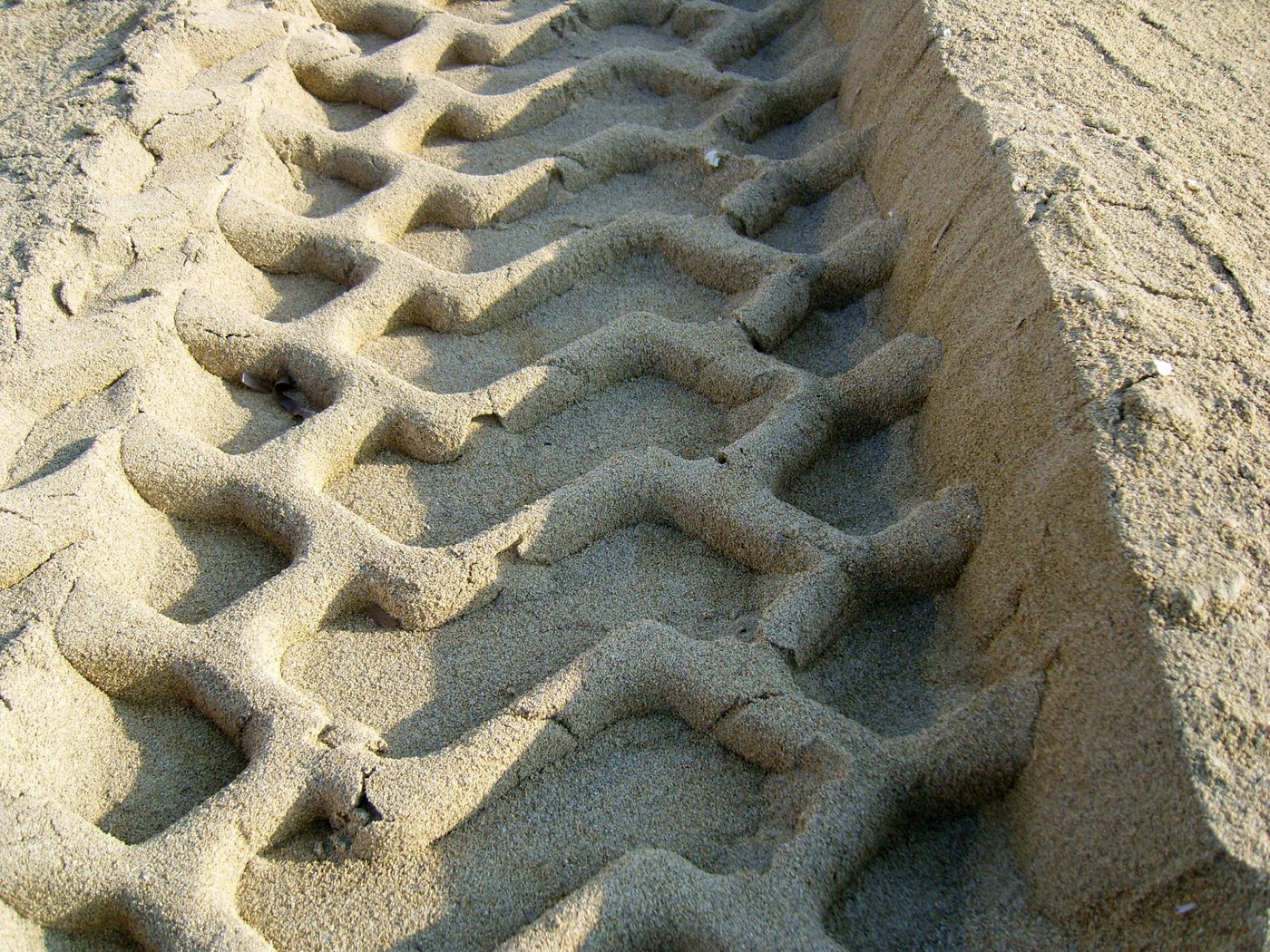 Eine neue Studie in Deutschland macht die intensive Landwirtschaft für den Artenverlust verantwortlich. (Bild: Gabi Reinkober / pixelio.de)