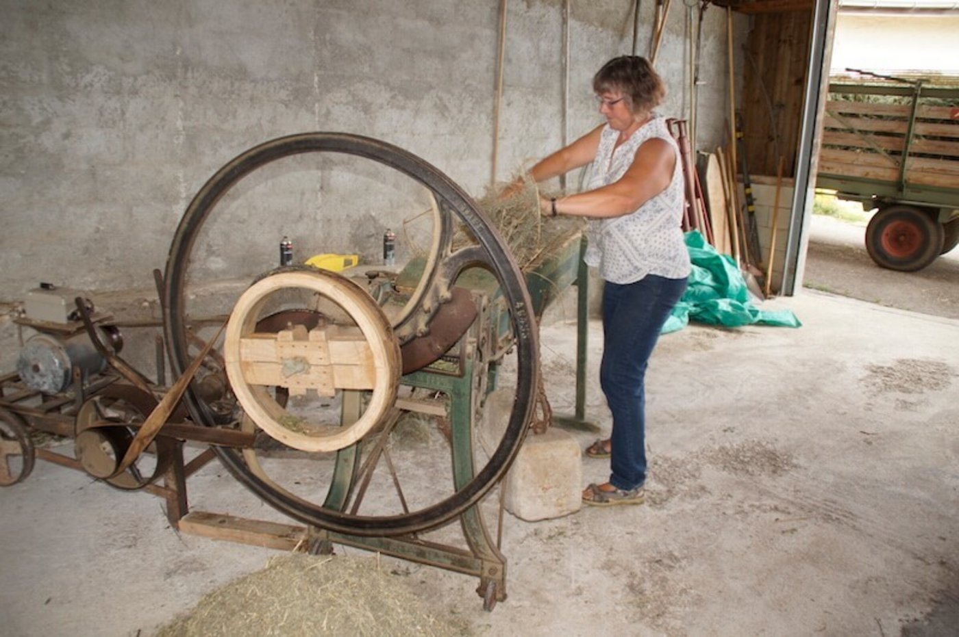 Mit dieser Anlage wird der Wermut gehäckselt. (Bild lid)