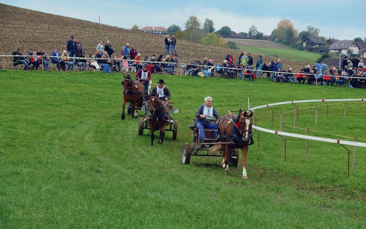 Freiberger-Trabrennen mit dem Käsereiwagen. 