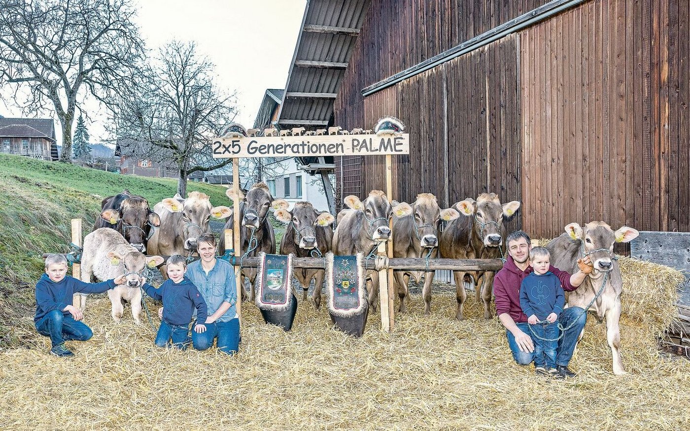 Die Familie Antonia und Markus von Ah-Spichtig, Flüeli-Ranft, mit der grossen Nachkommenschar der Kuh Palme.