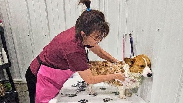 Melanie Annegers-Rei Melanie Annegers-Reinmann legt in der Hundepension auch am Sonntag Hand an: Bevor der Ferienhund wieder nach Hause fährt, wird er noch gründlich gewaschen.
