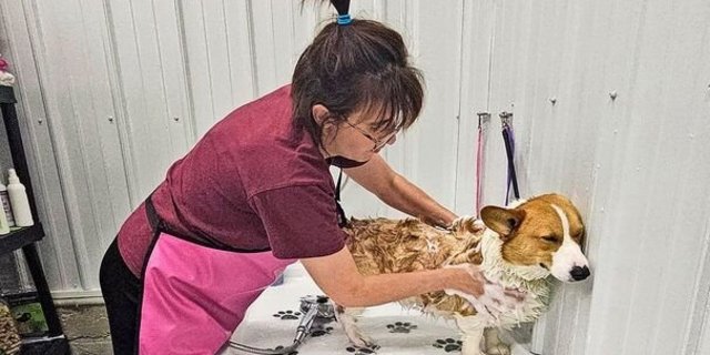 Melanie Annegers-Reinmann legt in der Hundepension auch am Sonntag Hand an: Bevor der Ferienhund wieder nach Hause fährt, wird er noch gründlich gewaschen.  