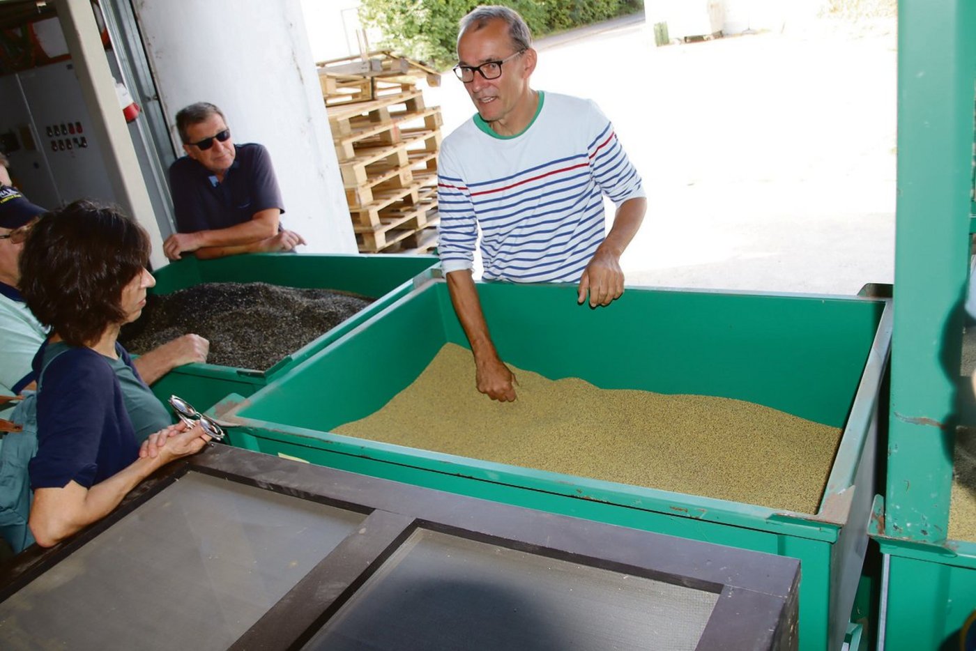 Geschäftsführer Amadeus Zschunke erklärt, wie diese Kleesamen aus dem Stammertal gereinigt und aufbereitet werden.(Bild Roland Müller)