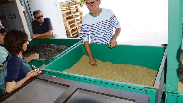 Geschäftsführer Amadeus Zschunke erklärt, wie diese Kleesamen aus dem Stammertal gereinigt und aufbereitet werden.(Bild Roland Müller)
