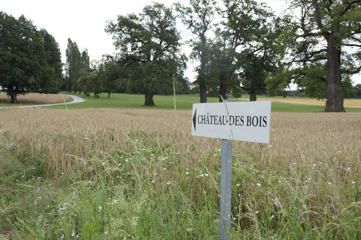 Hier geht es zum wunderschönen Château des bois. 