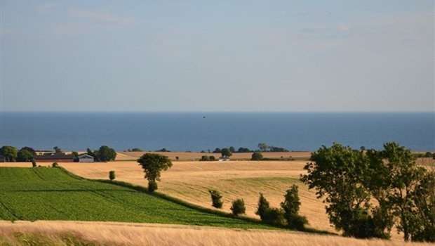 Idyllische dänische Landschaft: Die Bauern sehen ihre Zukunft auch wieder rosiger als auch schon. (Bild rene.kernen) 