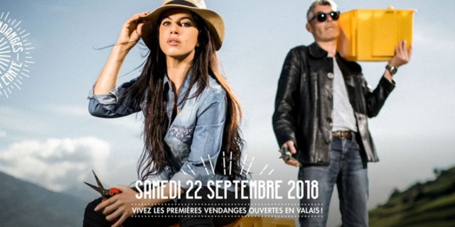 Im Wallis kann man bei der Traubenernte selbst Hand anlegen. (Bild BWW)