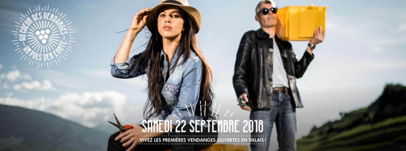 Im Wallis kann man bei der Traubenernte selbst Hand anlegen. (Bild BWW)