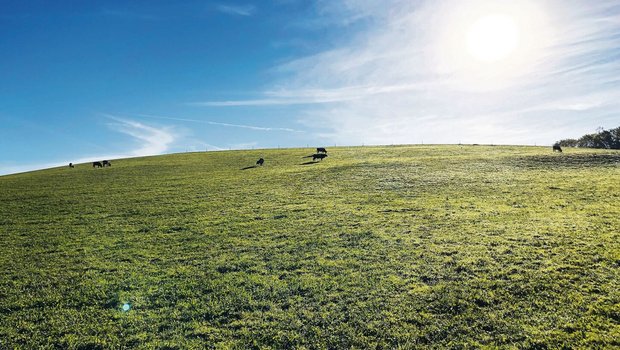 Methan stammt in der Schweiz in erster Linie aus der Tierhaltung und ist weniger langlebig als CO2. Das gilt es zu berücksichtigen.