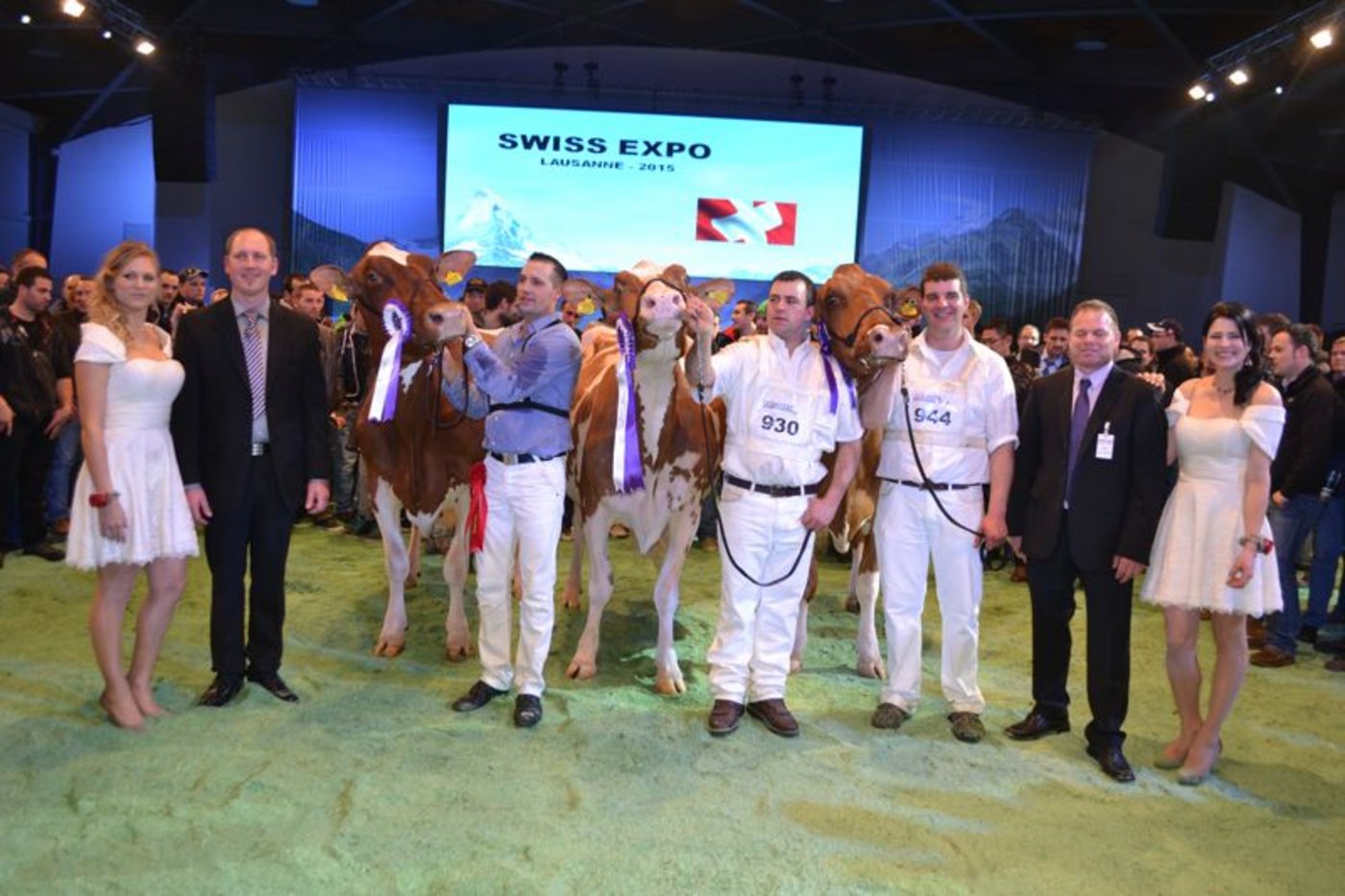 Senior Champion (Mitte): Plattery Savard Renita, Christian Menoud, Romanens / Reserve Senior Champion (links):Sam Kalinka, Roger Frossard, Les Pommerats / Mention Honorable (rechts): La Biolleyre Jet Fureur, Benoît Cardinaux, Bouloz