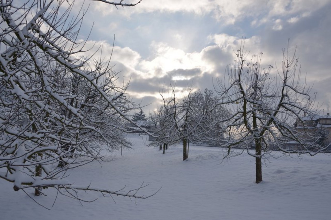 Schnee gabs an Weihnachten – aber nur in den Alpentälern. (Bild BauZ)