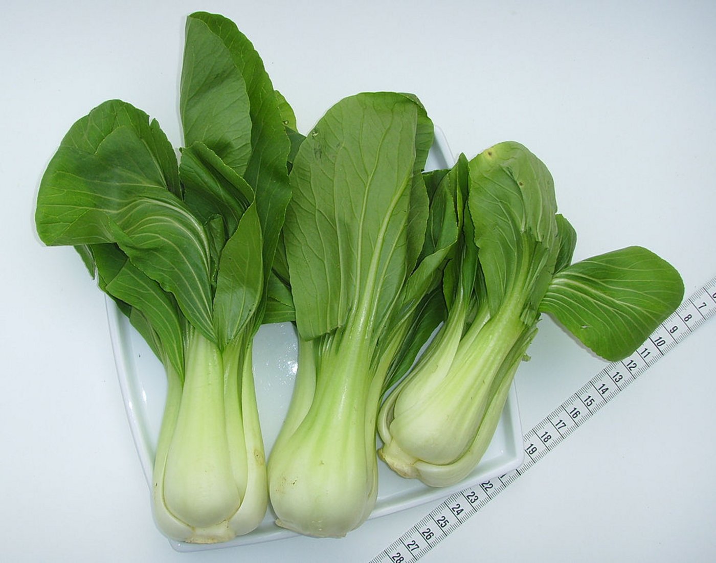 Pak-Choi ist eng mit dem Chinakohl verwandt. (Bild pd)